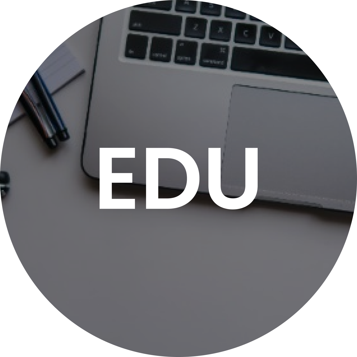 Cursos Transversales